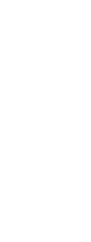 Right dashed background